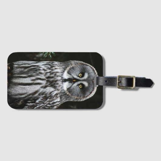 The Great Gray Owl bc ltcna Gepäckanhänger (Vorderseite (Horizontal))