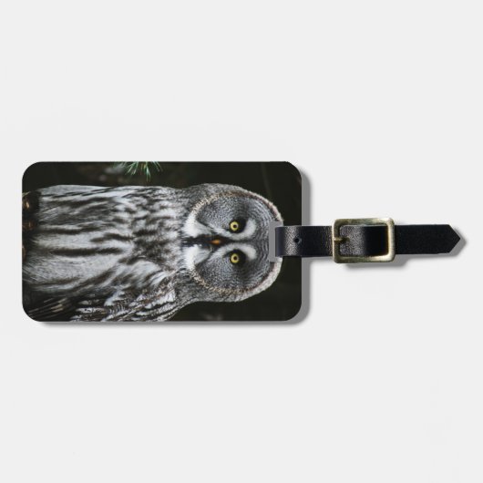 The Great Gray Owl cd ltcnm Gepäckanhänger (Vorderseite horizontal)