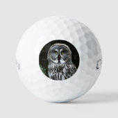 The Great Gray Owl CSS gbcna Golfball (Vorderseite)