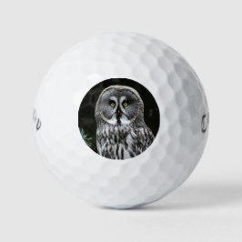 The Great Gray Owl cwb gbcna Golfball