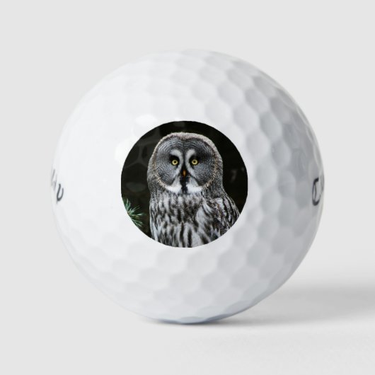 The Great Gray Owl cwb gbcna Golfball (Vorderseite)