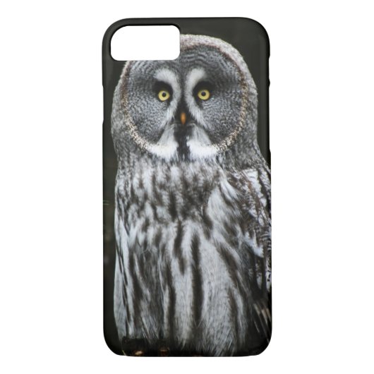 The Great Gray Owl iph arc1 Case-Mate iPhone Hülle (Rückseite)