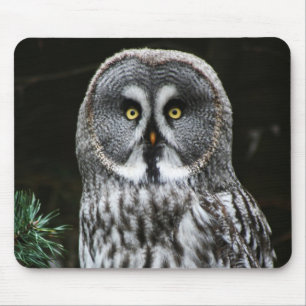 The Great Gray Owl mpcna Mousepad