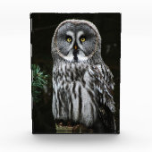 The Great Gray Owl pbcna Fotoblock (Vorderseite)
