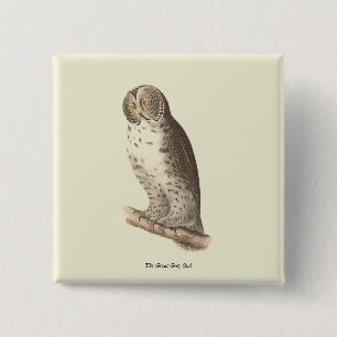 The Great Gray Owl (Strix nebulosa) NY Bird Image Button