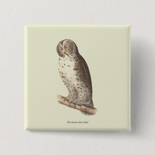 The Great Gray Owl (Strix nebulosa) NY Bird Image Button (Vorderseite)