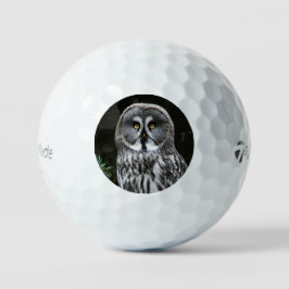 The Great Gray Owl tmtp5 gbcna Golfball