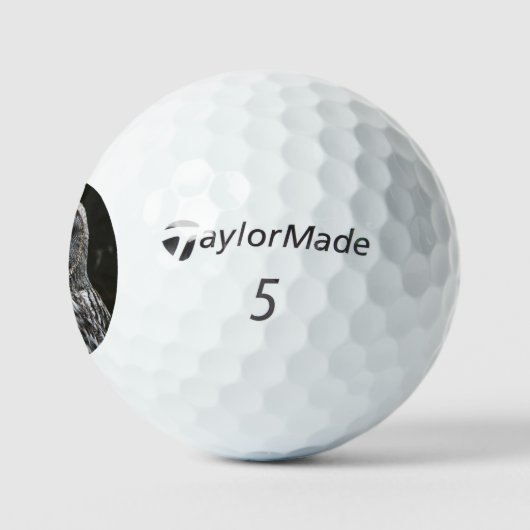 The Great Gray Owl tmtp5 gbcna Golfball (Logo)