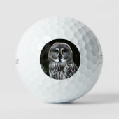 The Great Gray Owl tpv1 gbcna Golfball (Vorderseite)