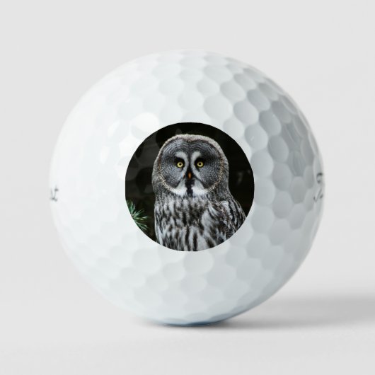 The Great Gray Owl tpv1 gbcnm Golfball (Vorderseite)