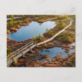 The Great Kemeri Bog Boardwalk, Latvia Postkarte (Vorderseite)