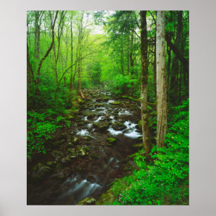 The Great Smoky Mountains Poster