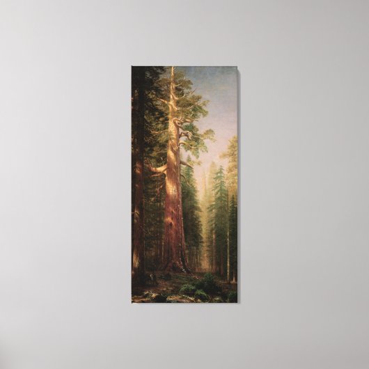 The Great Trees, Mariposa Grove, CA by Bierstadt Leinwanddruck (Vorderseite)