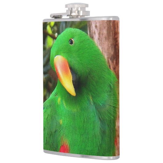 "The Green Orator" Eclectus Parrot Flachmann (Links)