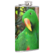 "The Green Orator" Eclectus Parrot Flachmann (Rechts)