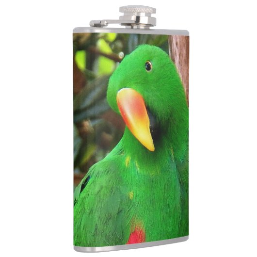 "The Green Orator" Eclectus Parrot Flachmann (Rechts)