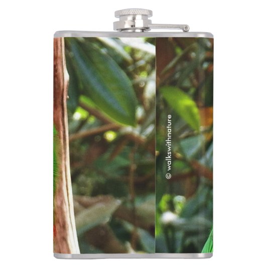 "The Green Orator" Eclectus Parrot Flachmann (Rückseite)