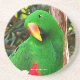 "The Green Orator" Eclectus Parrot Getränkeuntersetzer