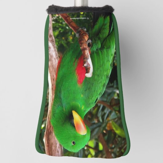 "The Green Orator" Eclectus Parrot Golf Headcover (Rotieren 90)