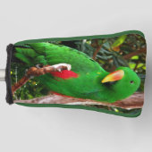 "The Green Orator" Eclectus Parrot Golf Headcover (Vorderseite)
