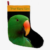 "The Green Orator" Eclectus Parrot Großer Weihnachtsstrumpf (Vorderseite)