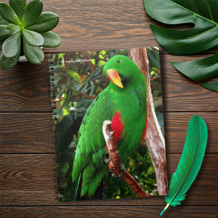 "The Green Orator" Eclectus Parrot Notizblock
