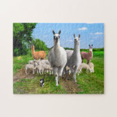 "The Guard Llamas" Puzzle (Horizontal)