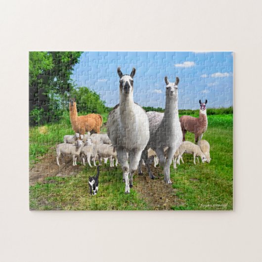 "The Guard Llamas" Puzzle (Horizontal)