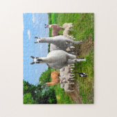 "The Guard Llamas" Puzzle (Vertikal)