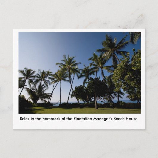 The hammock at the Plantation Manager's House Postkarte (Vorderseite)