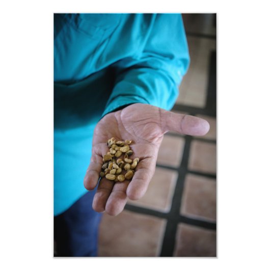 The Hand That Guides Fotodruck (Vorne)