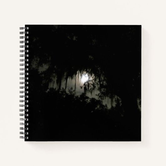 The Haunting Dark Night Bullet Journal Notizblock (Vorderseite)