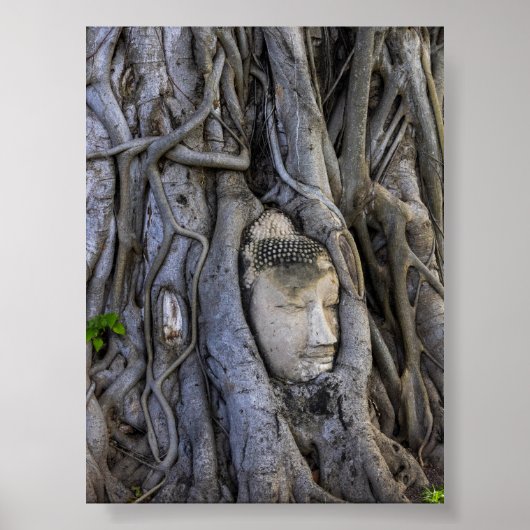 The head in the tree poster (Vorne)