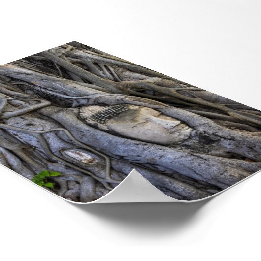 The head in the tree poster (Ecke)