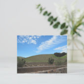 The Heart of Paso Robles Wine Country Postkarte (Stehend Vorderseite)