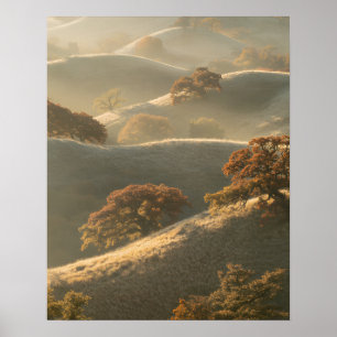 The Hills Poster