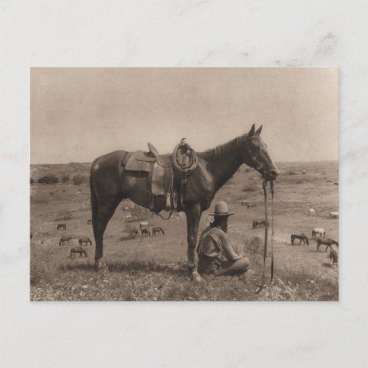 The Horse Wrangler 1910 Postkarte (Vorderseite)