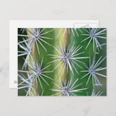 The Huntington Botanical Garden, Octopus Cactus Postkarte (Vorne/Hinten)