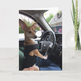 The Journey of Life Dog - Greeting Card Karte