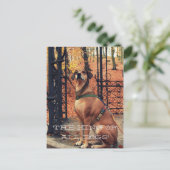 THE KING ALL HUNGS Postcard für Hundefreunde Postkarte (Stehend Vorderseite)