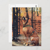 THE KING ALL HUNGS Postcard für Hundefreunde Postkarte (Vorne/Hinten)