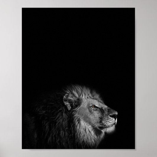The King, Lion, Black and White Fotografy Poster (Vorne)