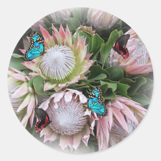 The King Protea Runder Aufkleber (Vorderseite)