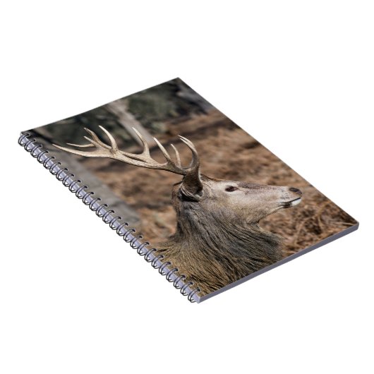 The King's Deer of Richmond Park, London, Großbrit Notizblock (Rechte Seite)