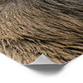 The King's Deer of Richmond Park, London, Großbrit Poster (Ecke)