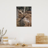 The King's Deer of Richmond Park, London, Großbrit Poster (Küche)