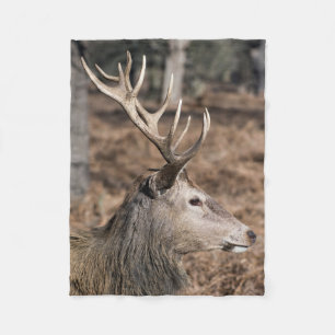 The King's Deer of Richmond Park, London, UK Fleecedecke