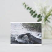 The kiss postkarte (Stehend Vorderseite)