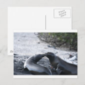 The kiss postkarte (Vorne/Hinten)