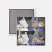 The Kittens - alias The Boys - witzige Bilder Magnet (Vorderseite/Rückseite)